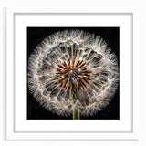 Framed botanical wall art featuring a delicate dandelion design in shades of white and green, elegantly matted, perfect for enhancing home decor with nature-inspired aesthetics.