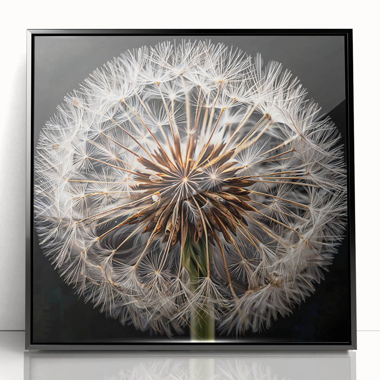Framed botanical wall art featuring a detailed black and white dandelion design, set against a minimalist backdrop, perfect for modern home decor.
