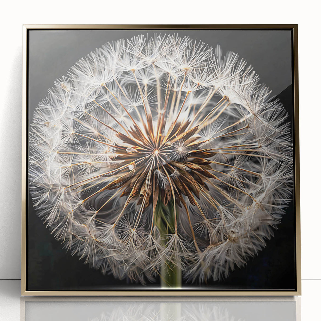 Framed botanical wall art featuring a detailed dandelion design in gold acrylic, set against a clean white background, perfect for modern home decor.