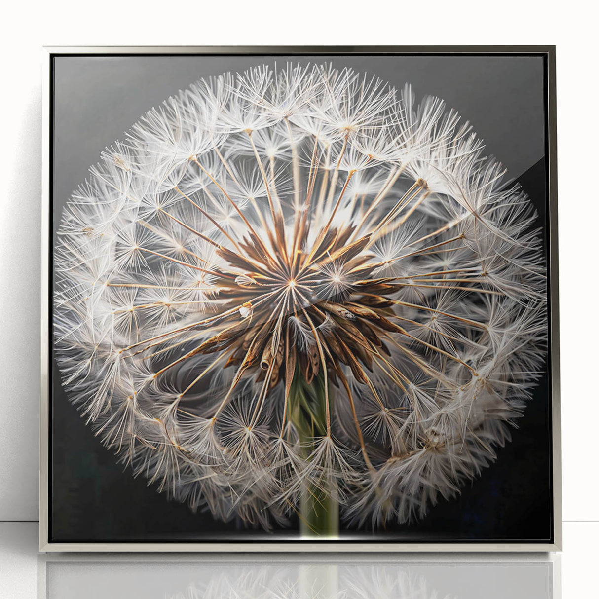 Framed wall art collection showcasing a detailed botanical dandelion design in acrylic with a sleek silver frame, perfect for modern home decor.