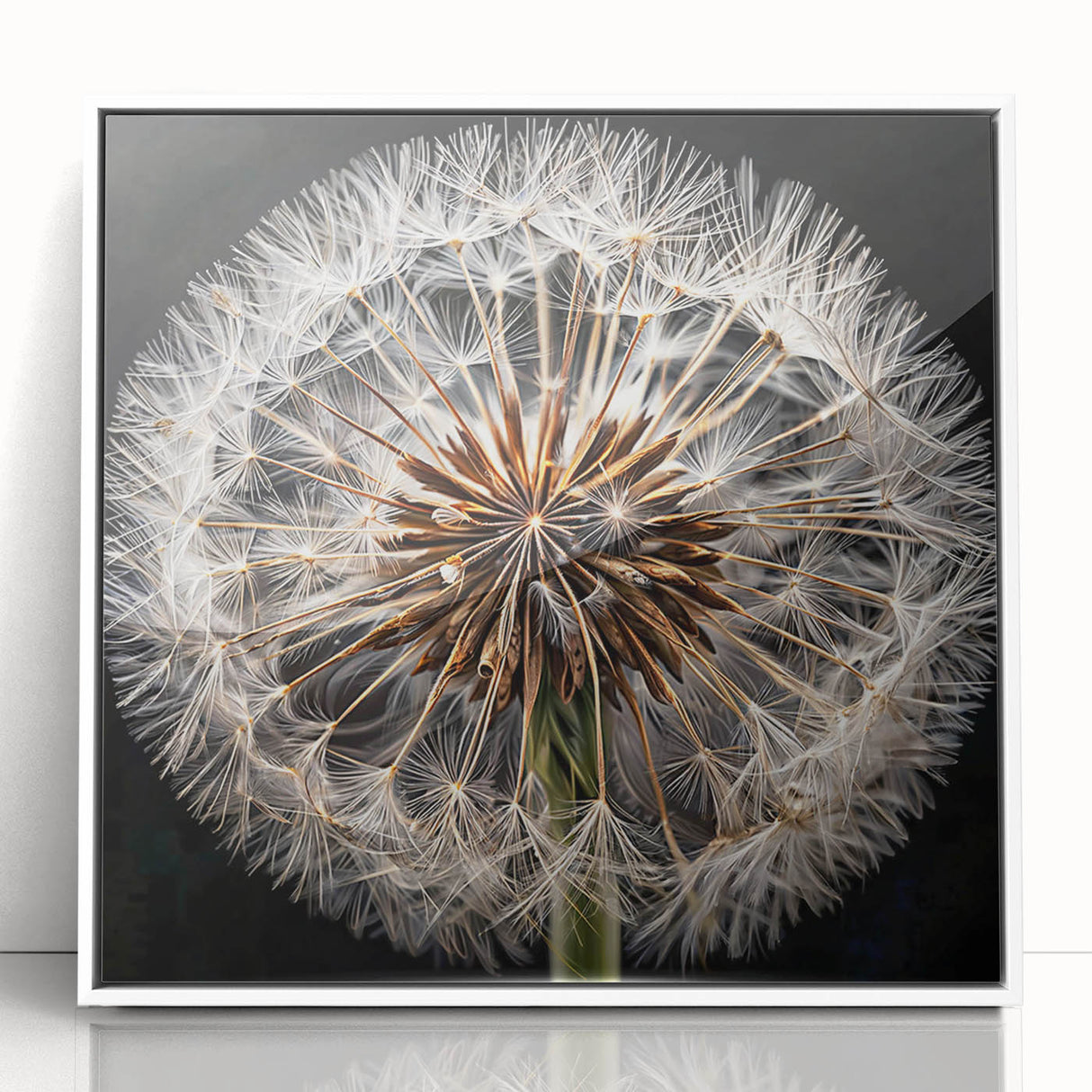 Framed wall art showcasing an elegant botanical dandelion design in a white frame, perfect for modern home decor. Ideal for nature enthusiasts and interior design lovers.