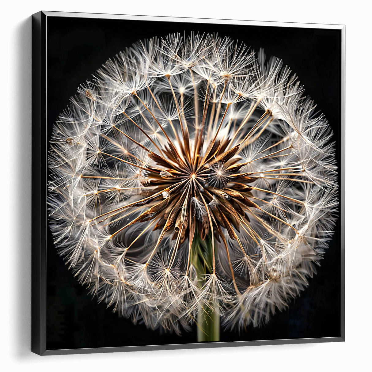 Framed canvas wall art showcasing a botanical dandelion design in black tones, highlighting intricate details and textures, ideal for modern home decor.