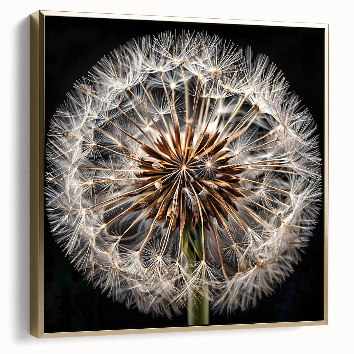 Framed wall art featuring a botanical dandelion design in silver and gold tones, showcasing intricate details and elegant aesthetics for home decor.