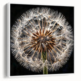 Framed wall art featuring a botanical dandelion design on white canvas, showcasing intricate details of the flowers with a modern aesthetic, ideal for home decor.