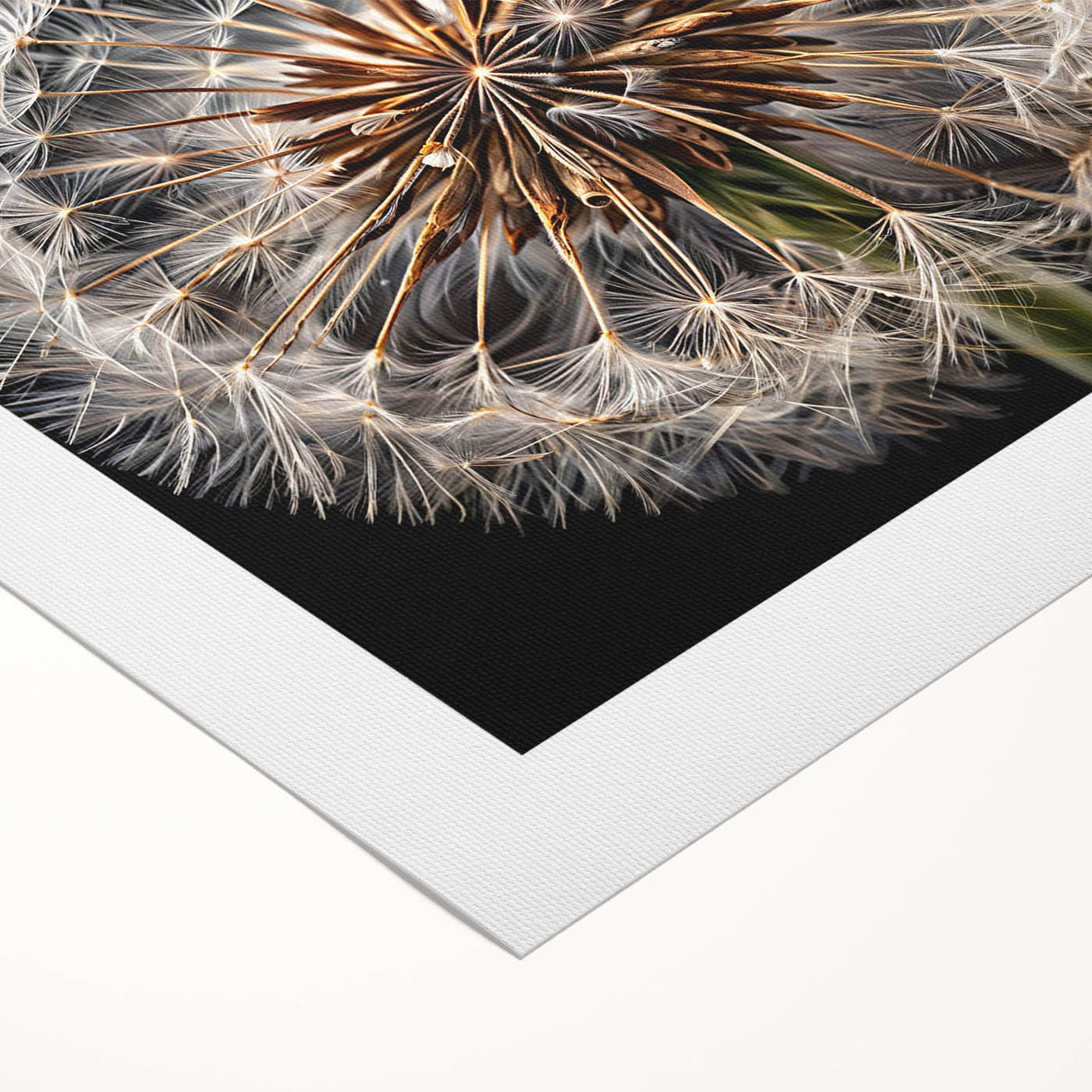 Rolled canvas wall art showcasing a delicate botanical dandelion design in soft yellow and green hues, perfect for adding a touch of nature-inspired elegance to home decor.