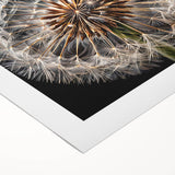 Rolled canvas wall art showcasing a delicate botanical dandelion design in soft yellow and green hues, perfect for adding a touch of nature-inspired elegance to home decor.