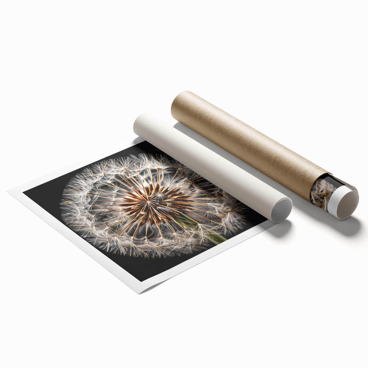Botanical wall art print showcasing a delicate dandelion design on a textured background, rolled and ready for framing, perfect for nature-inspired decor.