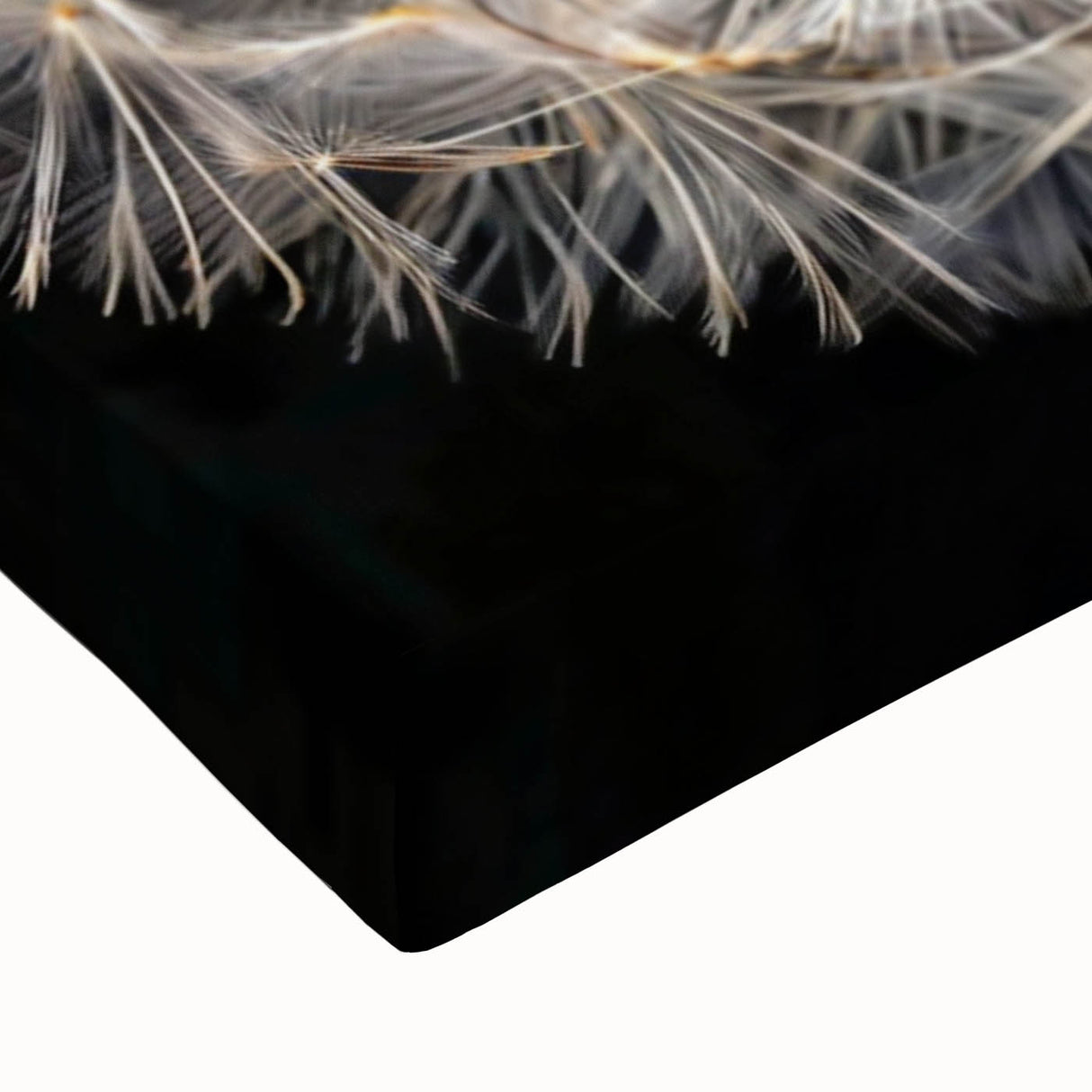 Close-up of a vibrant dandelion botanical wall art piece on stretched canvas, showcasing intricate details and textures, perfect for home decor enhancement.