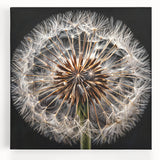 Stretched canvas wall art featuring a detailed botanical dandelion design in soft hues of yellow and green, perfect for adding a touch of nature-inspired elegance to any room.