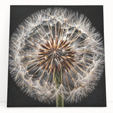 Stretched canvas featuring a detailed botanical dandelion design with vibrant colors, perfect for home decor or artistic wall displays, enhancing any living space.
