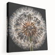 Stretched canvas wall art featuring a detailed botanical dandelion design, showcasing vibrant colors and intricate textures, perfect for home decor enhancement.