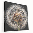 Stretched canvas wall art featuring a detailed botanical dandelion design, showcasing vibrant colors and intricate textures, perfect for home decor enhancement.