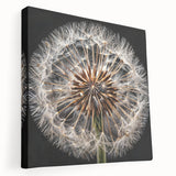 Stretched canvas wall art featuring a detailed botanical dandelion design, showcasing vibrant colors and intricate textures, perfect for home decor enhancement.
