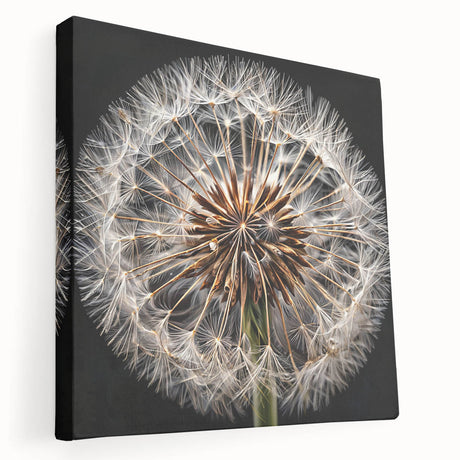 Stretched canvas wall art featuring a detailed botanical dandelion design, showcasing vibrant colors and intricate textures, perfect for home decor enhancement.
