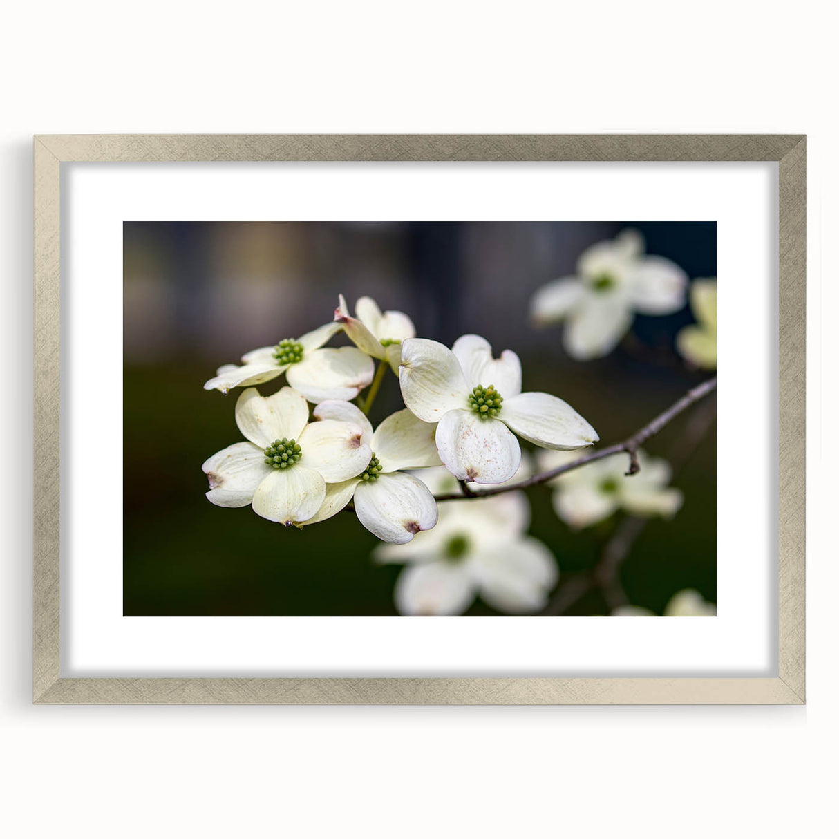 Botanical wall art featuring a detailed dogwood design in a silver frame with a mat, showcasing vibrant floral patterns, perfect for home decor.