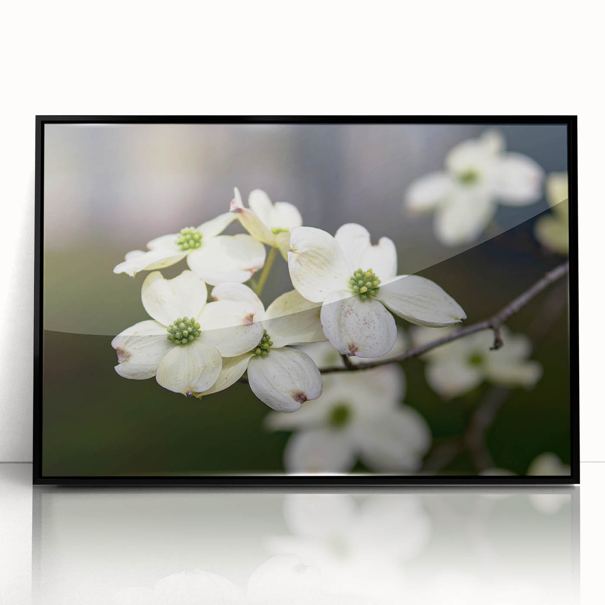 Framed botanical wall art featuring a detailed dogwood flower design in soft pastels, set in a sleek black frame, perfect for home decor enhancement.