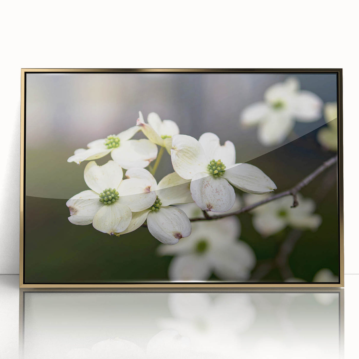 Framed wall art featuring a botanical dogwood design in soft pastel colors, set in a sleek gold frame, perfect for enhancing modern home decor.