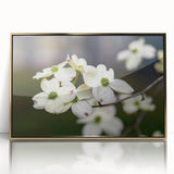 Framed wall art featuring a botanical dogwood design in soft pastel colors, set in a sleek gold frame, perfect for enhancing modern home decor.