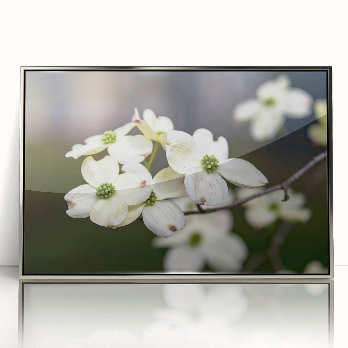 Framed botanical wall art featuring delicate dogwood flowers in soft pastel colors, set in a sleek silver frame, ideal for enhancing home decor.
