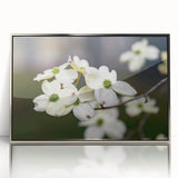 Framed botanical wall art featuring delicate dogwood flowers in soft pastel colors, set in a sleek silver frame, ideal for enhancing home decor.