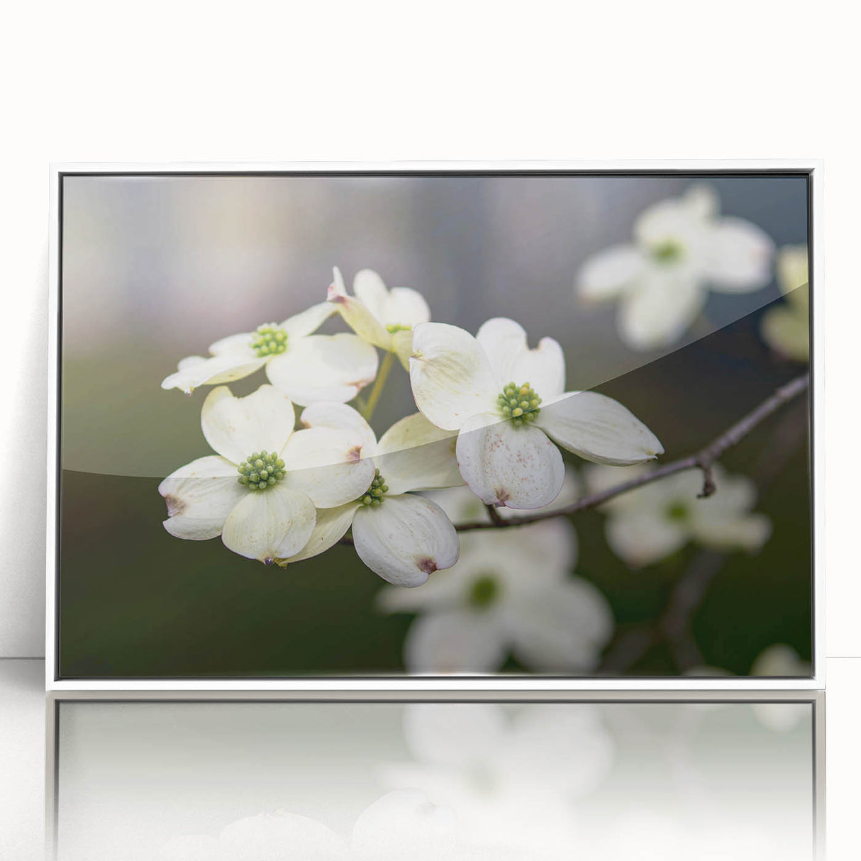 Framed wall art featuring a botanical design of white dogwood flowers against a soft background, perfect for enhancing home decor with a touch of nature.