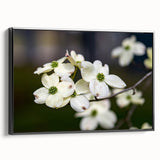 Framed wall art featuring a botanical dogwood design on canvas, elegantly displayed with a black frame, showcasing vibrant floral details and a side view perspective.