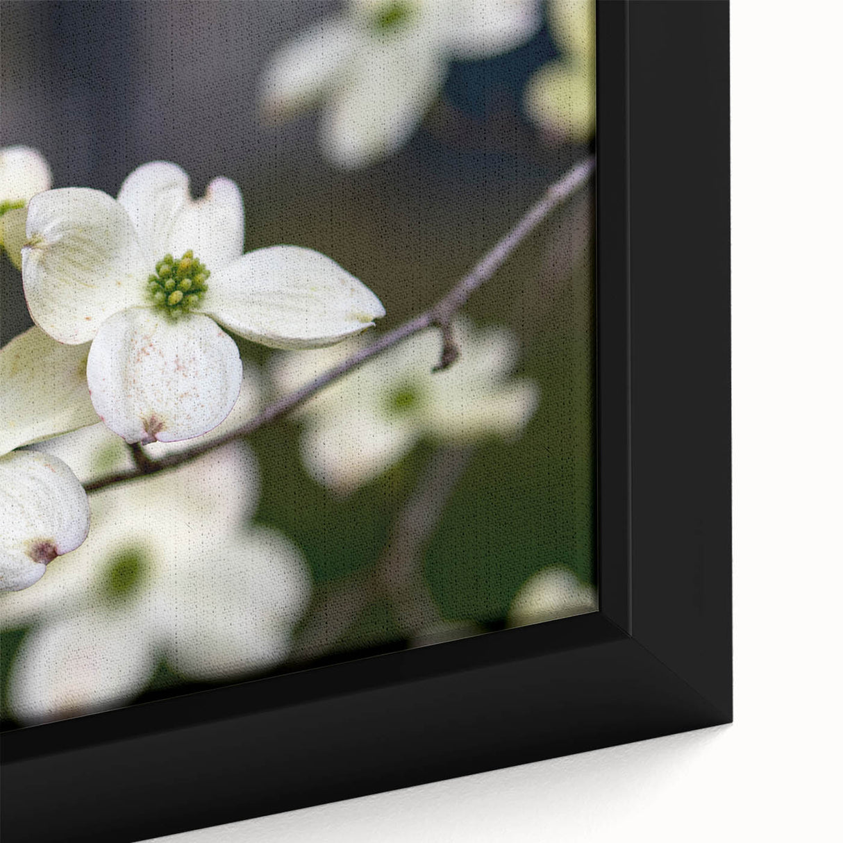 Framed canvas wall art showcasing a botanical dogwood design, featuring delicate pink and white flowers with green leaves, perfect for home decor.