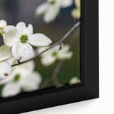 Framed canvas wall art showcasing a botanical dogwood design, featuring delicate pink and white flowers with green leaves, perfect for home decor.