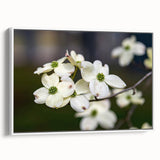Framed botanical wall art featuring a delicate dogwood design on canvas, showcasing soft white and green hues against a minimalist backdrop, ideal for home decor.