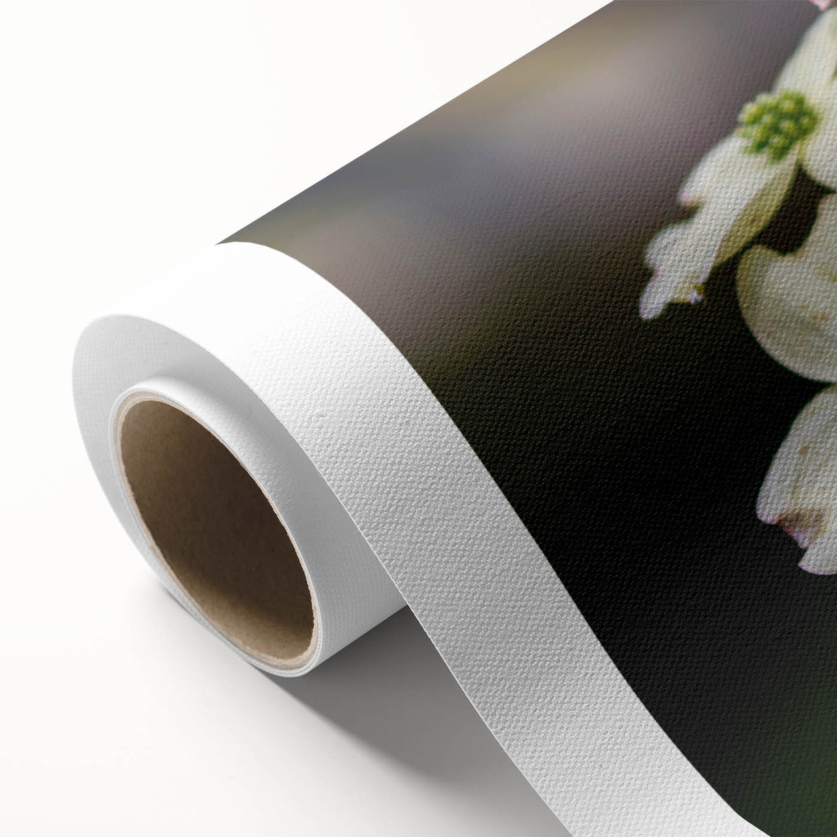 Botanical dogwood wall art design on rolled canvas, showcasing delicate pink and white flowers with lush green leaves, ideal for nature-inspired decor.