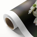 Botanical dogwood wall art design on rolled canvas, showcasing delicate pink and white flowers with lush green leaves, ideal for nature-inspired decor.