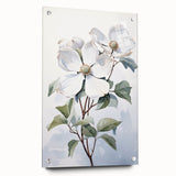 Elegant botanical wall art featuring a dogwood design, displayed in a contemporary acrylic frame, showcasing vibrant colors and intricate details, ideal for home decor.