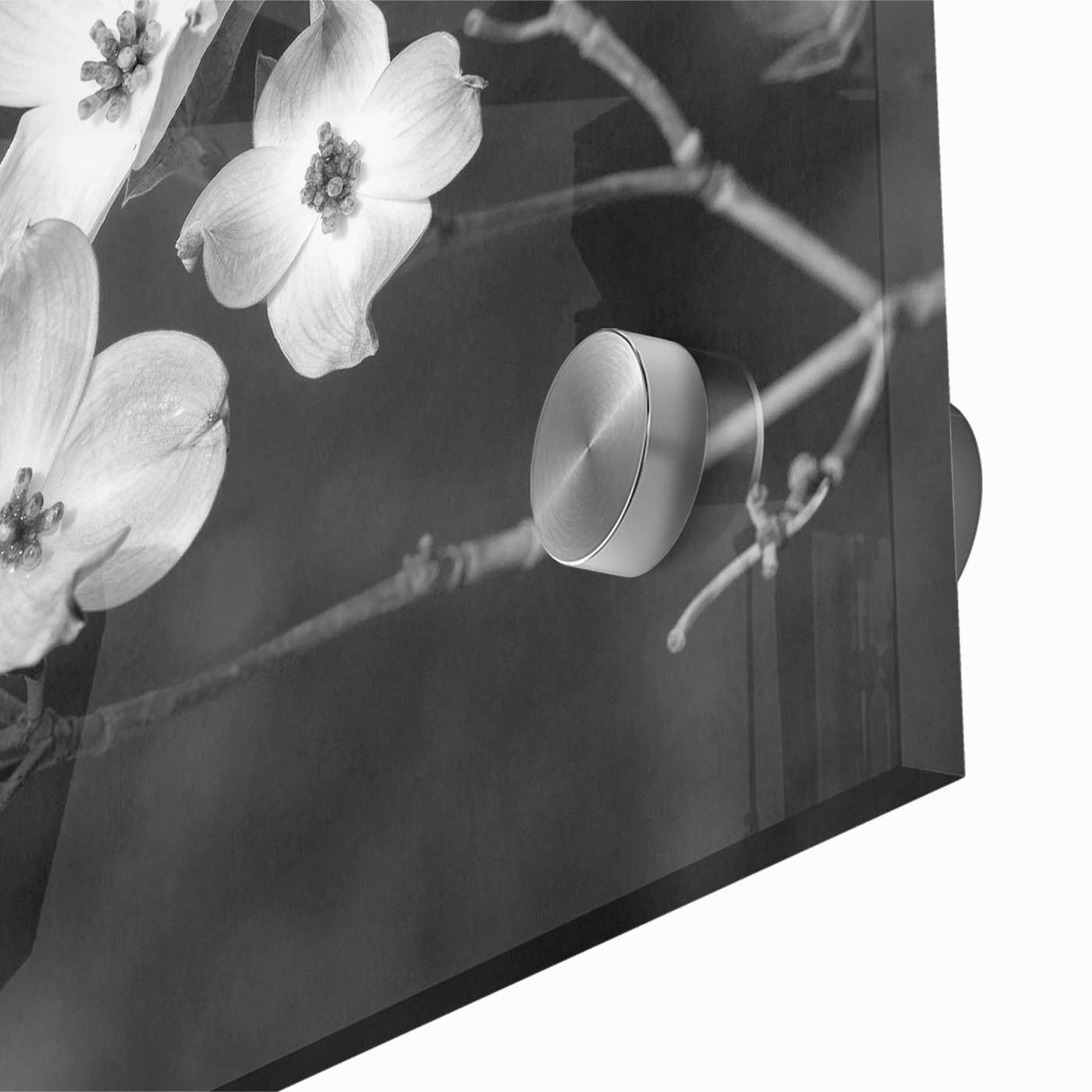 Close-up of a botanical dogwood design wall art collection, featuring vibrant pink and white flowers on acrylic glass, ideal for modern home decor.