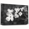 Acrylic glass wall art piece showcasing a botanical dogwood design, elegantly framed with pins, featuring vibrant colors and intricate floral details. Perfect for home decor.