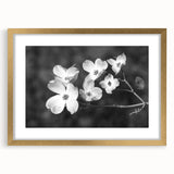 Botanical wall art featuring delicate white dogwood flowers with green leaves, framed in elegant gold, showcasing a modern decor style for nature lovers.