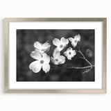 Framed botanical wall art featuring a delicate dogwood design in soft pastel colors, elegantly matted and showcased in a sleek silver frame, ideal for home decor.