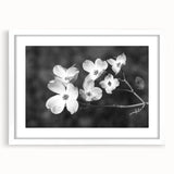 Botanical wall art collection showcasing a framed dogwood design with a white mat, perfect for home decor. Elegant and nature-inspired, this piece enhances any room.