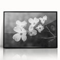 Framed botanical wall art featuring a delicate dogwood flower design in soft pink and white colors, set against a sleek black frame for elegant home decor.