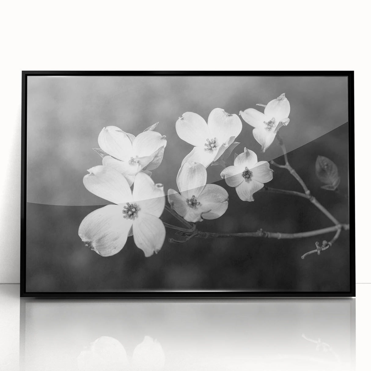 Framed botanical wall art featuring a delicate dogwood flower design in soft pink and white colors, set against a sleek black frame for elegant home decor.