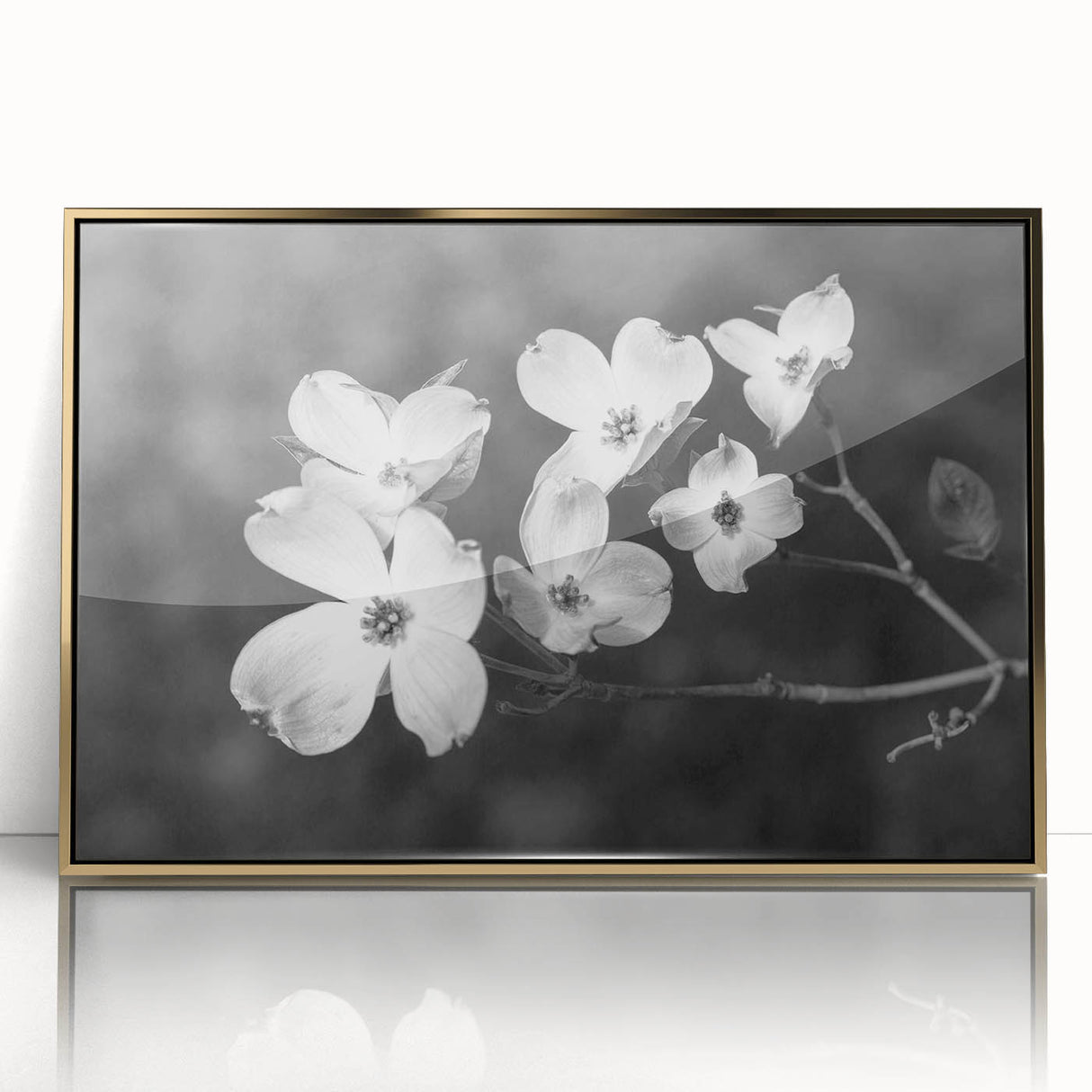 Framed wall art featuring a botanical dogwood design in vibrant colors, set in a sleek gold frame, perfect for home decor and enhancing interior aesthetics.