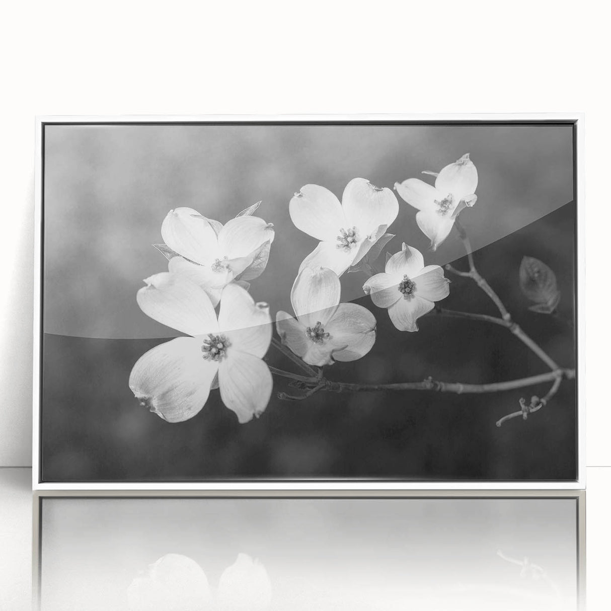 Framed acrylic wall art featuring a botanical dogwood design in soft pastel colors, showcasing delicate flowers against a clean white background, ideal for home decor.