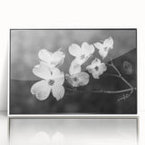 Framed acrylic wall art featuring a botanical dogwood design in soft pastel colors, showcasing delicate flowers against a clean white background, ideal for home decor.