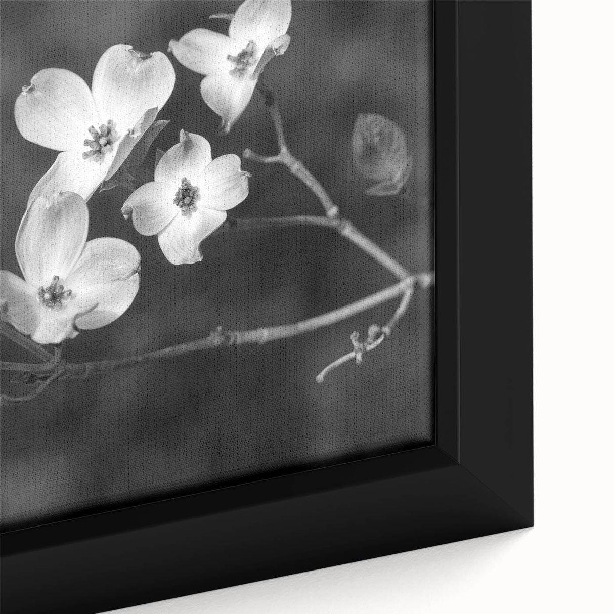 Close-up of a framed botanical wall art piece featuring delicate dogwood flowers in soft pastel colors, ideal for home decor or nature-themed interiors.