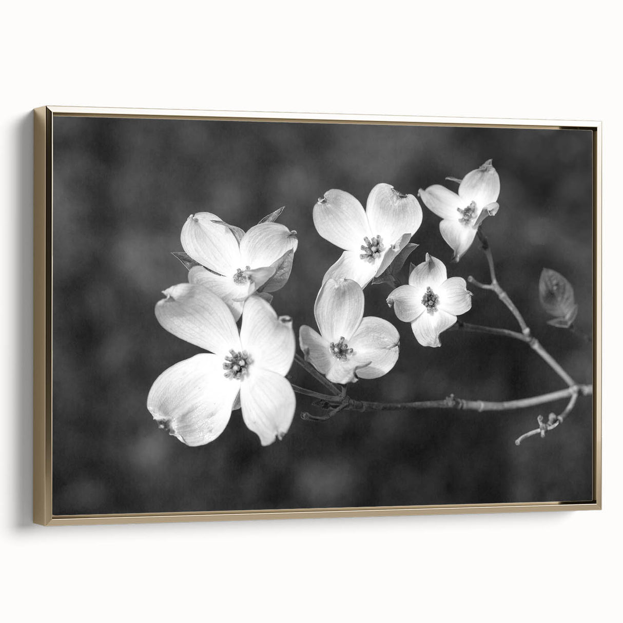 Framed botanical wall art collection showcasing a dogwood design in elegant gold, highlighting intricate floral details and a stylish side view presentation.