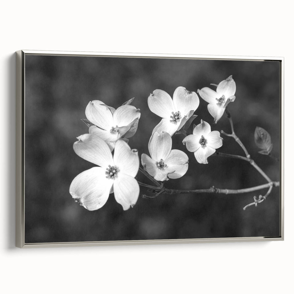 Framed botanical wall art featuring a delicate dogwood design on canvas, elegantly displayed with a silver frame, perfect for enhancing home decor.