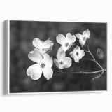 Framed canvas wall art featuring a botanical dogwood design in soft pastel colors, showcasing intricate floral details and a sleek white frame, perfect for home decor.