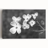 Botanical dogwood design stretched canvas wall art showcasing delicate white flowers against a soft pastel background, perfect for home decor and nature lovers.