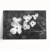 Botanical wall art featuring a delicate dogwood flower design on stretched canvas, elegantly leaning against a wall, ideal for enhancing home decor.