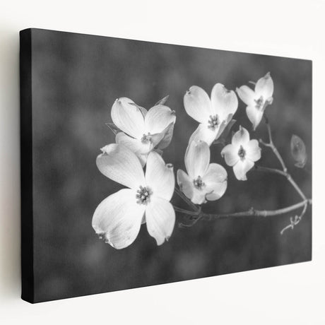 Botanical wall art featuring a vibrant dogwood design on stretched canvas, showcasing intricate floral details and a side view of the artwork. Perfect for home decor.