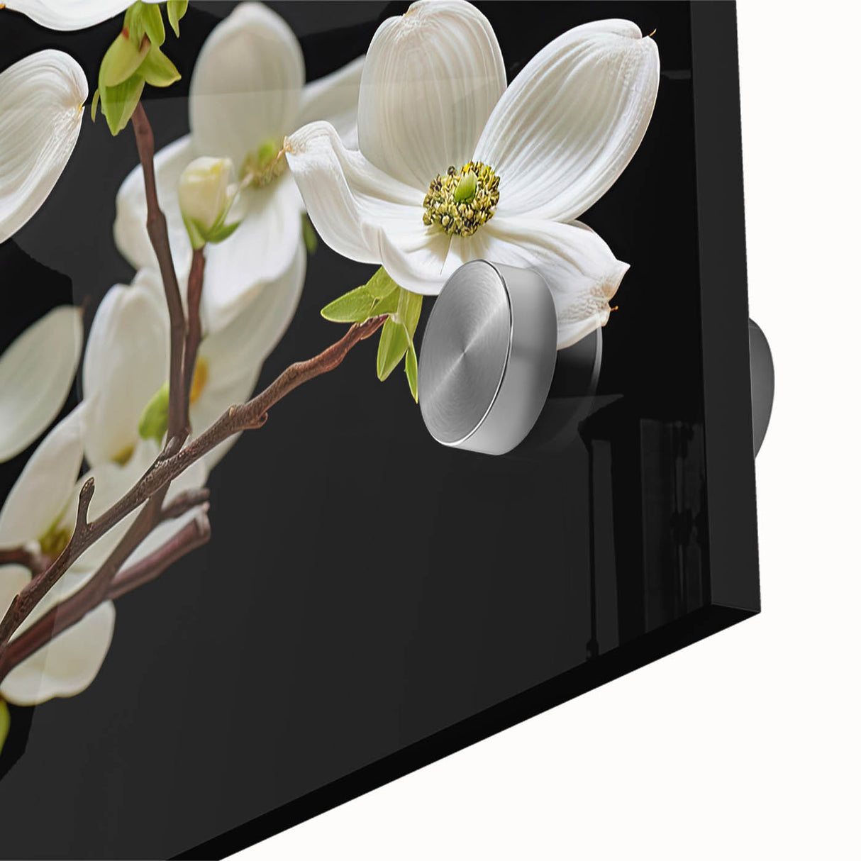 Close-up of a vibrant botanical dogwood design wall art collection, showcasing intricate floral details and bright colors on acrylic glass, perfect for home decor.